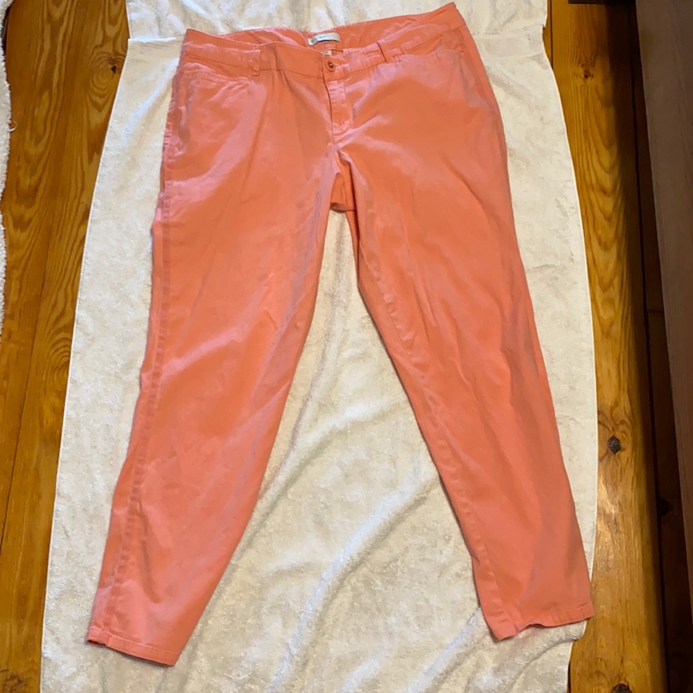 Women’s dress pant